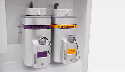 SK-EH205_Alibaba5_02