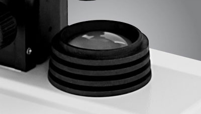 SK-SY03_Alibaba4_02