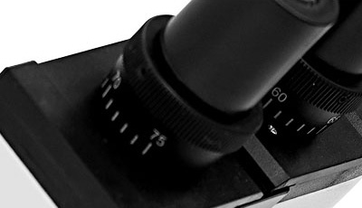 SK-SY03_Alibaba4_07