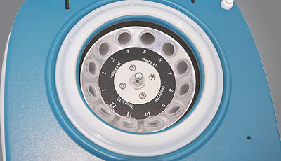 SK-SY07_Alibaba7_02