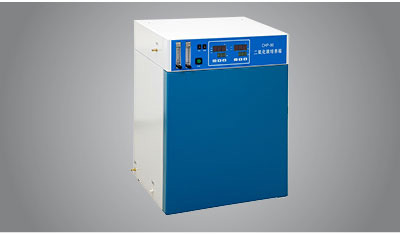 SK-SY08_Alibaba5_02